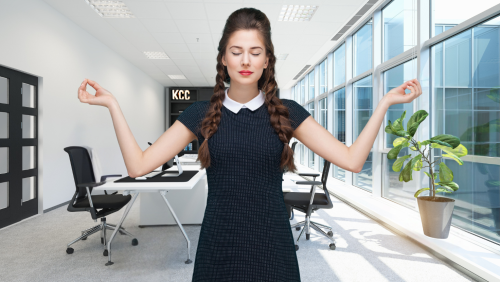 Emotional Intelligence Emotional Intelligence